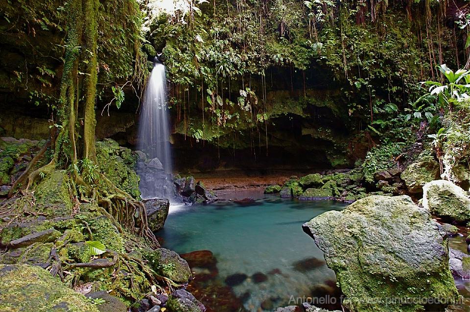 DOMINICA - La Emerald Pool.jpg